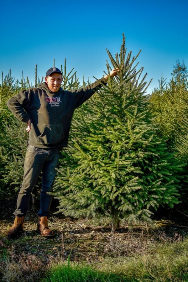 Visit Our Christmas Tree Farm | Real Christmas Trees | Book Your Visit